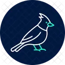 Cardinal Bird Red Icon