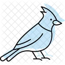 Cardinal Bird Red Icon