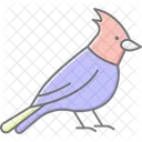 Cardinal Bird Red Icon