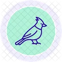 Cardinal Bird Red Icon