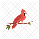 Red Cardinal Tropical Icon
