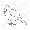 Cardinal  Icon