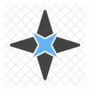 Cardinal Point Star Icon