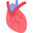 Cardiologia Cardiovascular Circulatoria Icono