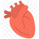 Cardiología  Icono