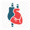 Cardiología  Icono