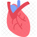 Cardiology Cardiovascular Circulatory Icon