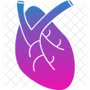 Cardiology Cardiovascular Circulatory Icon