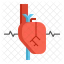 Cardiology Heart Medical Icon