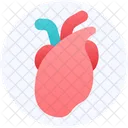 Cardiology Healthcare Medical Icon