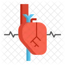 Cardiology  Icon