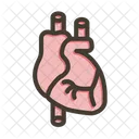 Cardiology  Icon