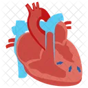 Cardiomyopathie Hypertrophique Cardiologie Trouble Genetique Icône