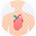 Cardiovascular  Icono