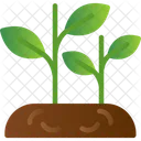 Agriculture Care Eco Icon