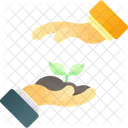 Care  Icon