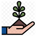 Care Plant  Icon