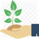 Care Plant Ecology Gardening Icon