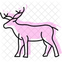 Caribou Mammal Antlers Icon