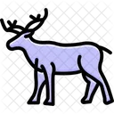 Caribou Mammal Antlers Icon