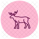 Caribou Icon