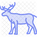 Caribou Mammal Antlers Icon