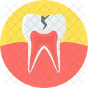 Cavidade Dentaria Germes Dentarios Bacterias Ícone