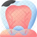 Caries  Icono