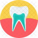 Cavidad Dental Diente Cavidad Icono