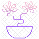 Carmona-Bonsai-Pflanze  Symbol