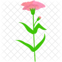 Carnation Flower Bud Icon