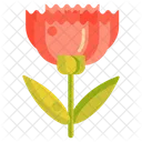 Carnation Flower Botany Icon