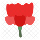 Carnation  Icon