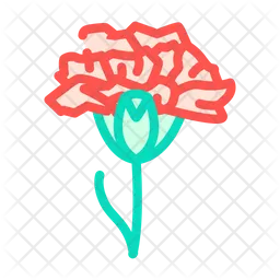 Carnation Flower  Icon