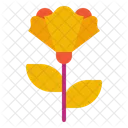 Carnation Floral Flower Icon