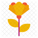 Carnation  Icon