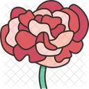 Carnations Flower Petal Icon