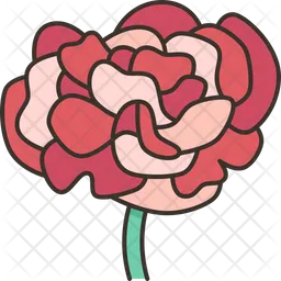 Carnations  Icon