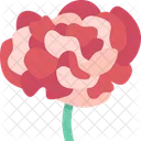 Carnations Flower Petal Icon