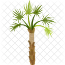 Carnauba Wax Palm Palm Tree Beach Icon
