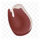 Carne Carne Comida Icon