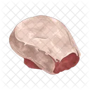 Carne Comida Carne De Res Icon