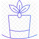 Carnival Cap Carnival Hat Hat Icon