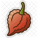 Carolina Reaper Chili Spicy Icon