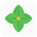 Carombola  Icono