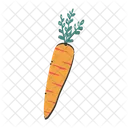 Carota Vegetariano Cibo Icon