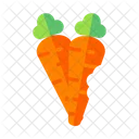 Carota  Icon