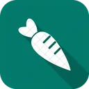 Carota  Icon