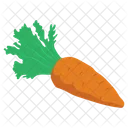 Verdure Cibo Carota Icon