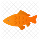 Carp Fish Japan Icon